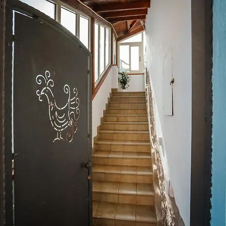 Apartment Alle Pavoncelle Con Terrazzo Di 50 Mq